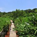 哭泣湖畔石頭屋(凡伊斯山野菜館)-哭泣湖畔石頭屋(民宿)照片