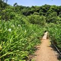 哭泣湖畔石頭屋(凡伊斯山野菜館)-哭泣湖畔石頭屋(民宿)照片