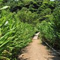 哭泣湖畔石頭屋(凡伊斯山野菜館)-哭泣湖畔石頭屋(民宿)照片