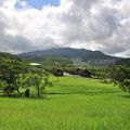 小墾丁渡假村(小墾丁綠野渡假村)-小墾丁渡假村照片