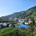 梅山太平竹林茶坊-梅山太平竹林茶坊照片