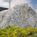 櫻田野休閒養生館-櫻田野休閒養生館照片