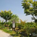 櫻田野休閒養生館-櫻田野休閒養生館照片