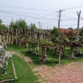 安平區中的迷你盆栽庭院-安平區中的迷你盆栽庭院照片