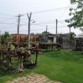 安平區中的迷你盆栽庭院-安平區中的迷你盆栽庭院照片