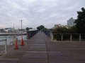 真愛碼頭西臨港線自行車道照片