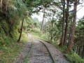 宜蘭 - 太平山見晴懷古步道照片