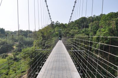 一號吊橋長度雖長,但橋面極寬,鋼鎖也粗,行來毫無困難