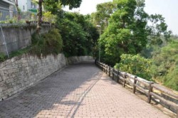 龍崎虎形山生態公園主照片