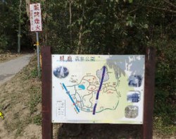 關廟森林公園自行車路線主照片