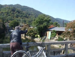 京都:嵐山嵯峨-天龍寺-野宮神社-竹林主照片