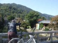 京都:嵐山嵯峨-天龍寺-野宮神社-竹林照片