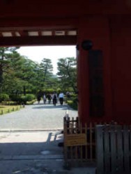 京都:宇治 平等院主照片