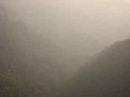 雲霧繚繞藤枝遊照片