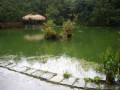 阿里山照片