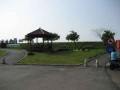 安平湖濱水鳥公園