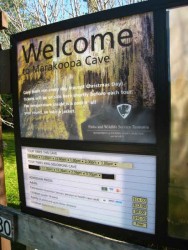 澳洲-塔斯馬尼亞-Marakoopa cave主照片