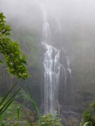 杉林溪森林風景遊樂區主照片